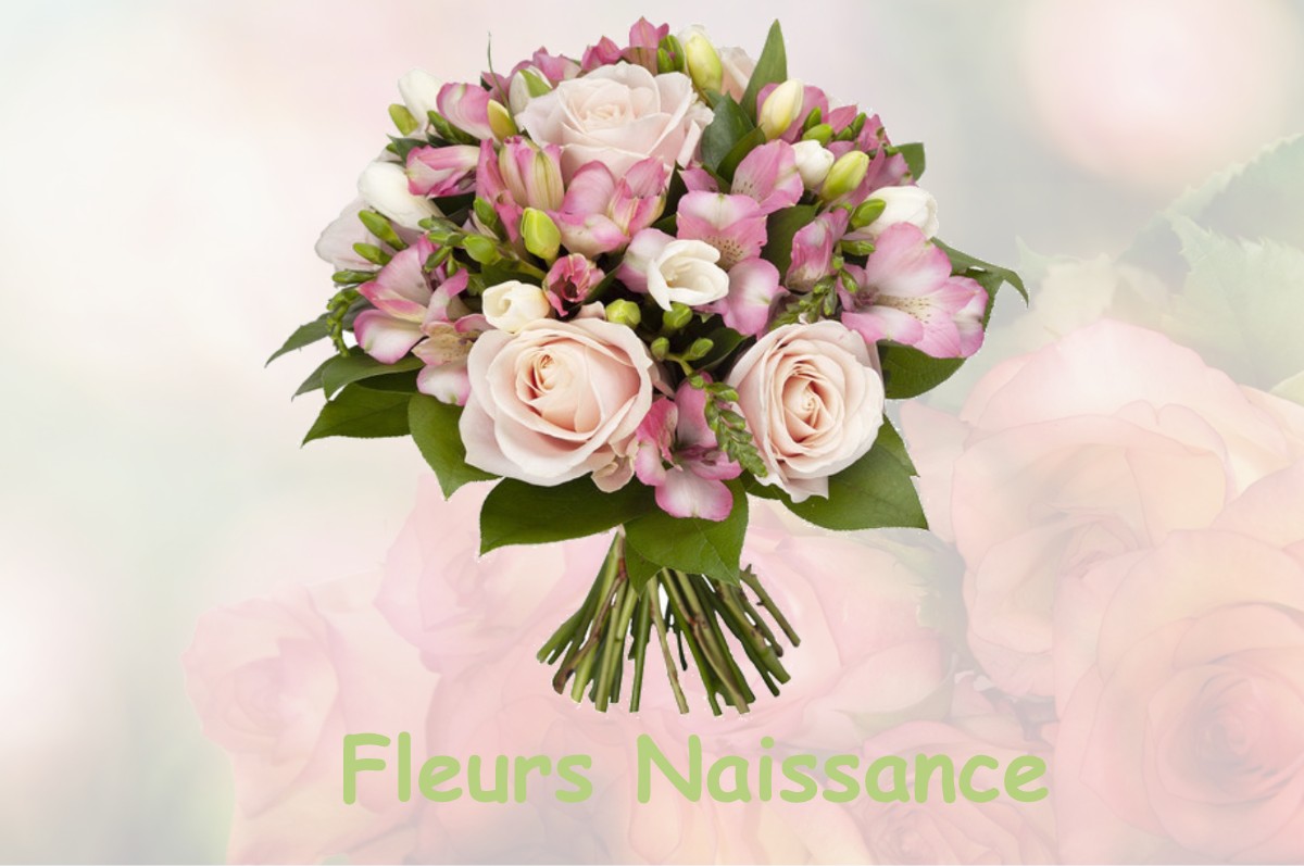 fleurs naissance MARNAY-SUR-MARNE